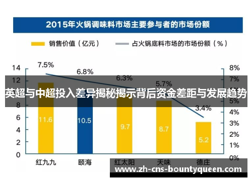 英超与中超投入差异揭秘揭示背后资金差距与发展趋势
