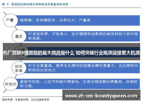 药厂晋级8强面临的最大挑战是什么 如何突破行业瓶颈迎接更大机遇