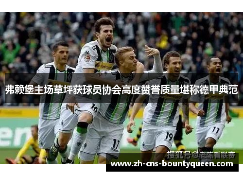 弗赖堡主场草坪获球员协会高度赞誉质量堪称德甲典范