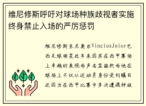 维尼修斯呼吁对球场种族歧视者实施终身禁止入场的严厉惩罚 维尼修斯呼吁对球场种族歧视者实施终身禁止入场的严厉惩罚